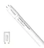 Noxion Tube LED T8 Avant (EM/Direct 230V) Standard Output 7.5W 900lm - 840 Blanc Froid | 60cm - Équivalent 18W